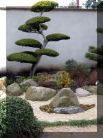 Bassin a koï et jardin Japonais Richert 1 - suite 1  11 
