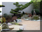 Bassin a koï et jardin Japonais Richert 1 - suite 1  8 
