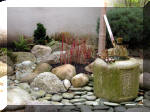 Bassin a koï et jardin Japonais Richert 1 - suite 1  10 