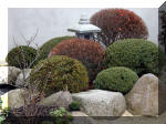 Bassin a koï et jardin Japonais Richert 1 - suite 1  13 