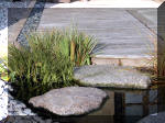 Bassin a koï et jardin Japonais Richert 1 - suite 1  21 