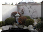 Bassin a koï et jardin Japonais Richert 1 - suite 1  23 