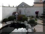 Bassin a koï et jardin Japonais Richert 1 - suite 1  20 