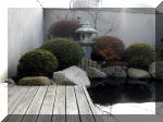 Bassin a koï et jardin Japonais Richert 1 - suite 1  27 