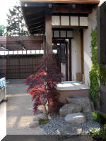 Bassin a koï et jardin Japonais Richert 1 - suite 2  5 