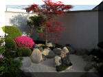 Bassin a koï et jardin Japonais Richert 1 - suite 2  10 