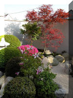Bassin a koï et jardin Japonais Richert 1 - suite 2  16 