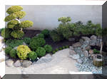 Bassin a ko et jardin Japonais Richert 1 - suite 2  18 