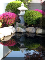 Bassin a koï et jardin Japonais Richert 1 - suite 2  28 