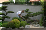 Bassin a koï et jardin Japonais Richert 1 - suite 2  30 