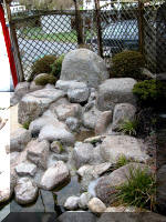Bassin a koï et jardin Japonais Richert 2 - la réabilitation  30 