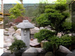 Bassin a koï et jardin Japonais Richert 2 - les finitions  7 