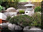 Bassin a koï et jardin Japonais Richert 2 - les finitions  14 