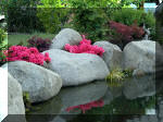 Bassin a koï et jardin Japonais Richert 2 - les finitions  23 