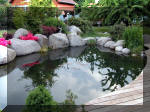 Bassin a koï et jardin Japonais Richert 2 - les finitions  26 
