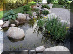 Bassin a koï et jardin Japonais Richert 2 - les finitions  28 