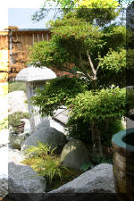 Bassin a koï et jardin Japonais Richert 2 - Aménagements  20 