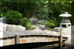 Bassin a koï et jardin Japonais Richert 2 - Aménagements  26 