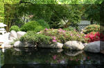 Bassin a koï et jardin Japonais Richert 2 - Aménagements  27 