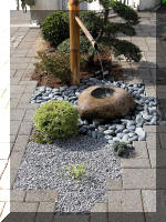 Bassin a koï et jardin Japonais Richert 3 - Le jardin Japonais  13 