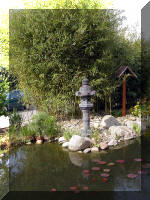 Bassin a koï et jardin Japonais Richert 3 - Le jardin Japonais  20 