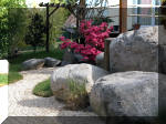 Bassin a koï et jardin Japonais Richert 3 - Le jardin Japonais  25 