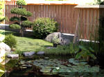 Bassin a koï et jardin Japonais Richert 4 - Le jardin Japonais  15 