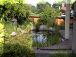 Bassin a koï et jardin Japonais Richert 4 - Le jardin Japonais  24 