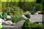 Bassin a koï et jardin Japonais Richert 5 - Le jardin Japonais  7 