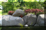 Bassin a koï et jardin Japonais Richert 5 - Le jardin Japonais  29 