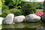 Bassin a koï et jardin Japonais Richert 5 - Le jardin Japonais  33 