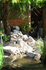 Bassin a koï et jardin Japonais Richert 5 - Le jardin Japonais  32 