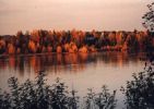 Loire rousse 01~0.jpg