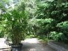 parc_du_chateau_2020.jpg