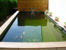 DSCN0537.jpg