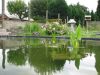 Les_abords_et_la_filtration_011.jpg