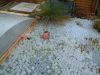 DSCF0006.JPG