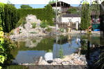 Aquamarathon alsacien bassin de jardin fontaine et rocaille  2 