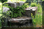 Aquamarathon alsacien un bassin de jardin a lagunage de grande taille  4 