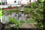 Aquamarathon alsacien un bassin de jardin a lagunage de grande taille  11 
