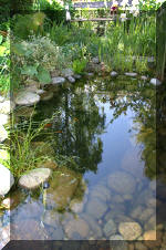 Aquamarathon alsacien le bassin de jardin de Severine  8 