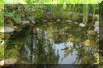 Aquamarathon alsacien le bassin de jardin de Severine  6 