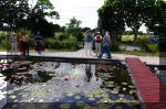 Aquamarathon de bretagne juin 2004, Le jardin des Bouttin  11 