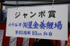 Danny's koi caf Hunting 2009 : Dainichi grand champion Niiagata Nogosai  53 