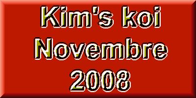 La rentre des koi de novembre chez Kim's Koi - L'offre complte  1 