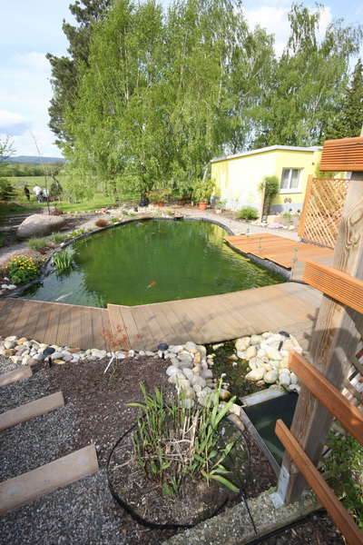 Le bassin de jardin d'Alain : le bassin  2 