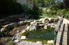 Bassin de jardin à deux étages page 2  25 