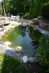 Bassin de jardin à deux étages page 2  13 