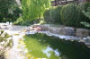 Bassin de jardin à deux étages page 2  11 