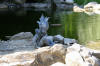 Bassin de jardin à deux étages page 2  7 